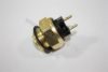 AUTOMEGA 3013410002 Temperature Switch, radiator fan